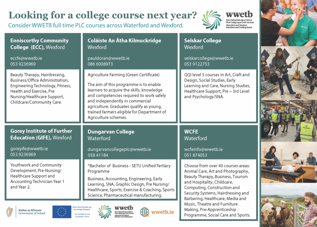 Poster showing list of PLC courses in WWETB schools and College